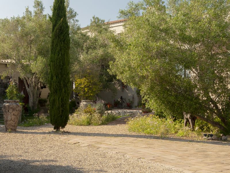 A well-maintained garden area featuring a gravel driveway, paved walkway, and mature trees providing a natural, serene entrance to the property.
