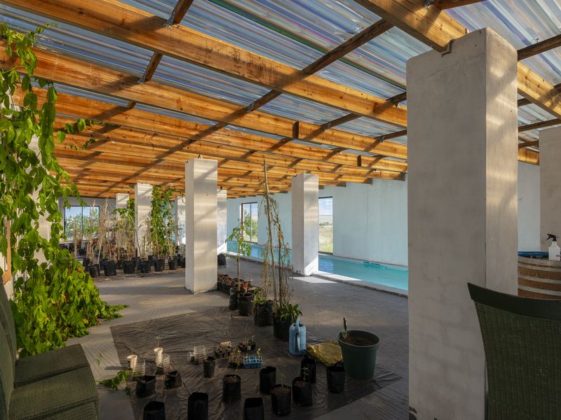 A large covered patio area featuring a timber roof structure, concrete columns, and an integrated swimming pool, offering a versatile outdoor space.