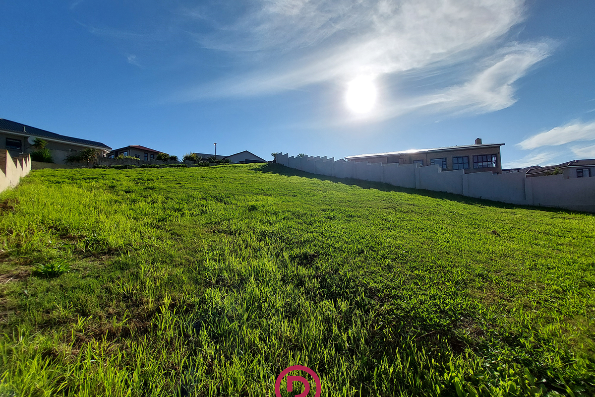 Peaceful Living Just Minutes from Everything You Need - Photo 3