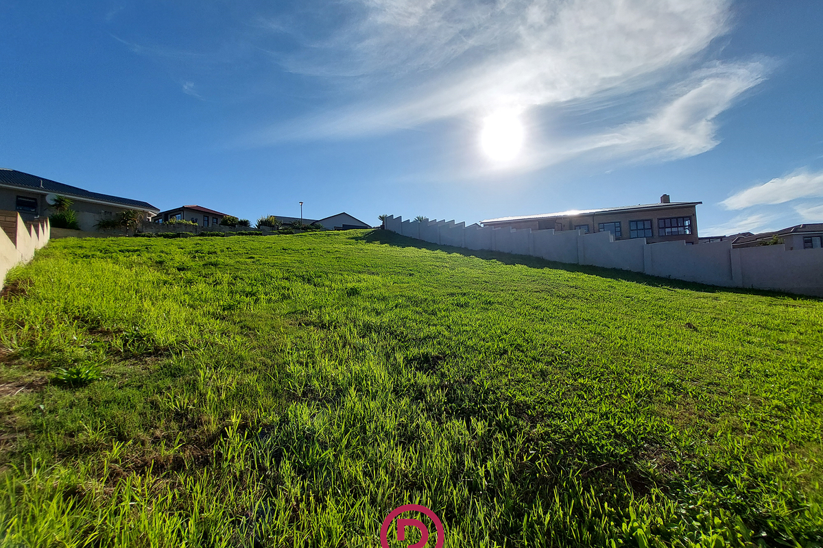 Peaceful Living Just Minutes from Everything You Need - Photo 4