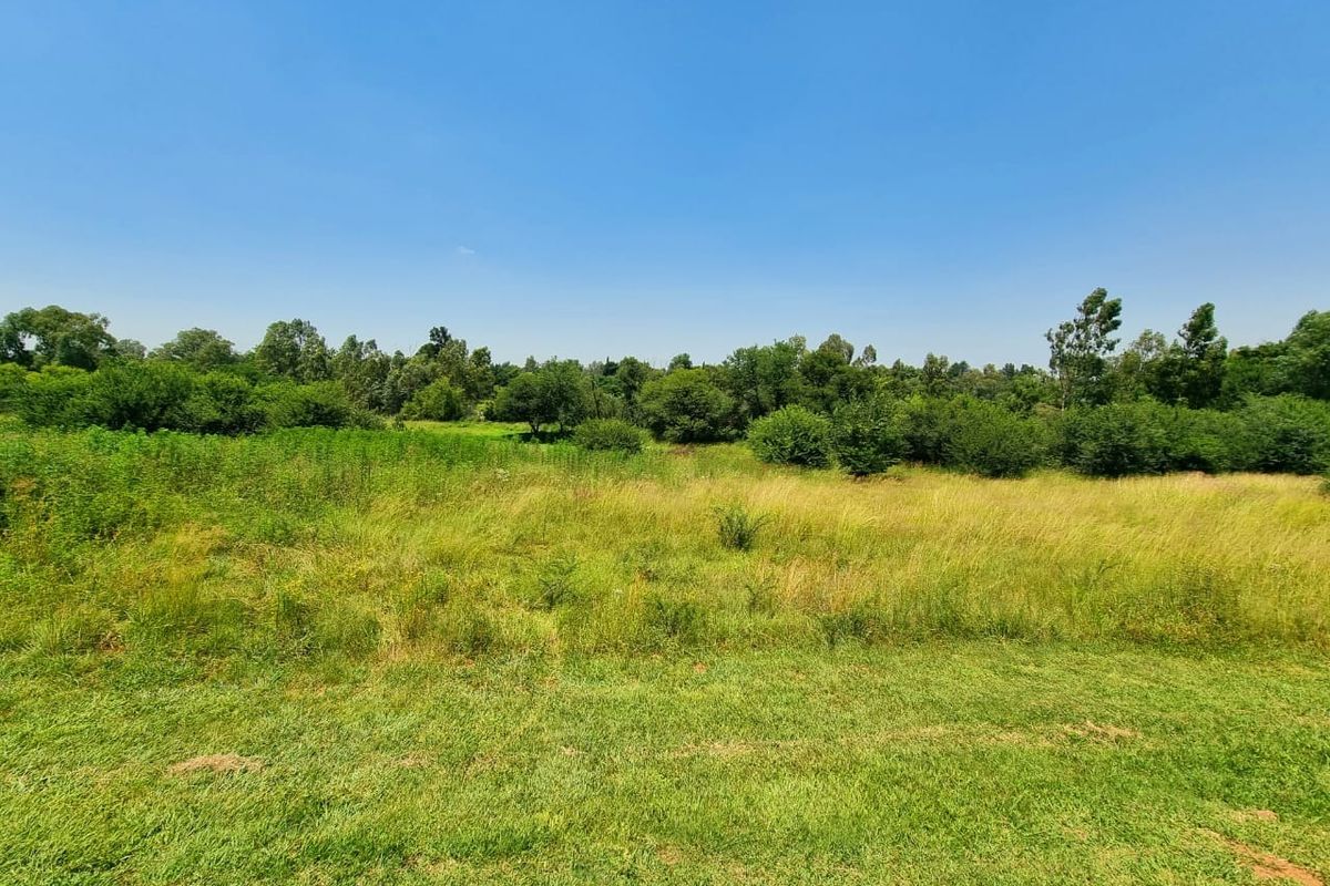 Vacant land to build your dream home! - Photo 2