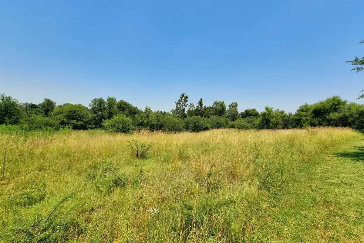 Vacant land to build your dream home! - Photo 3
