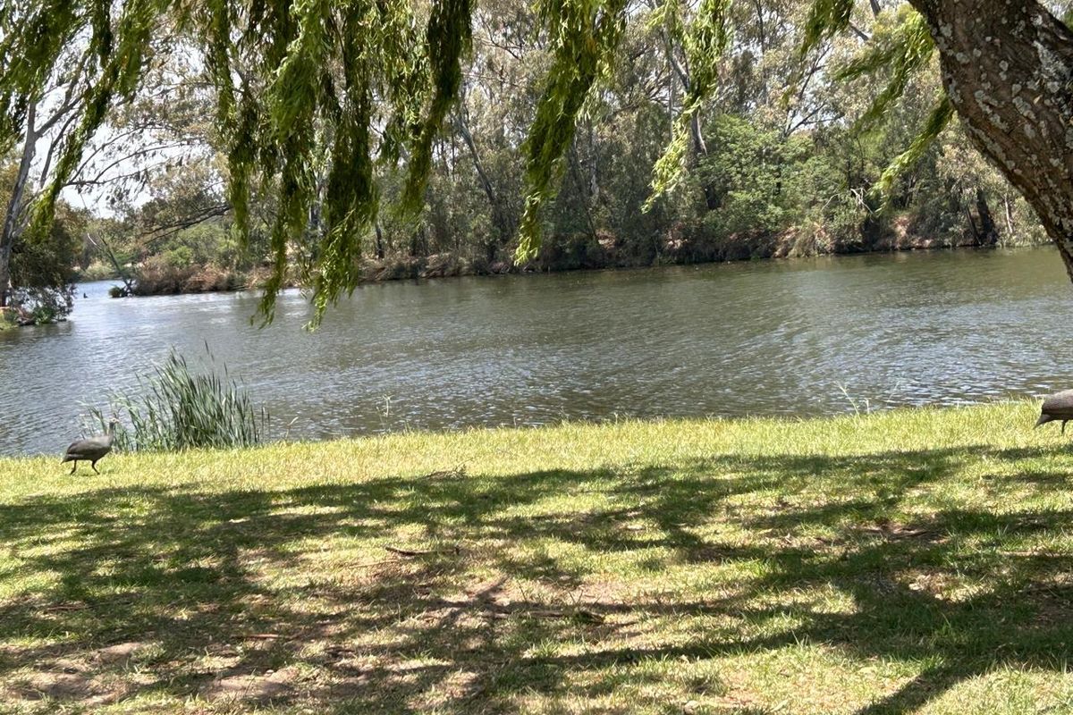 Vacant stand for sale - Photo 3