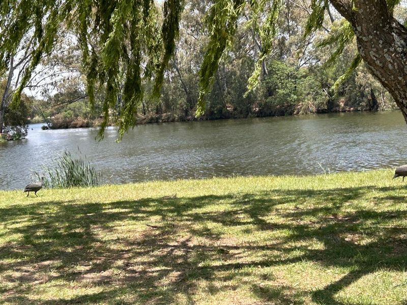 Vacant stand for sale - Photo 3