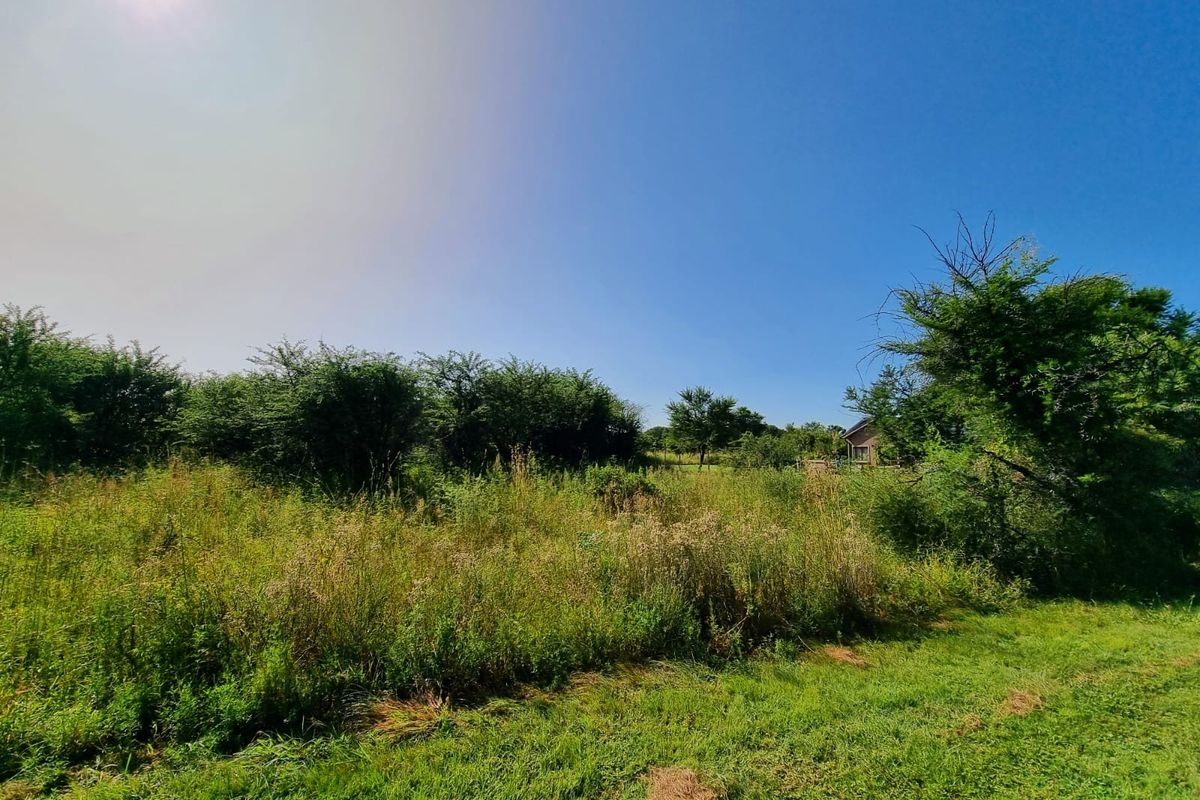 Vacant stand for sale - Photo 2