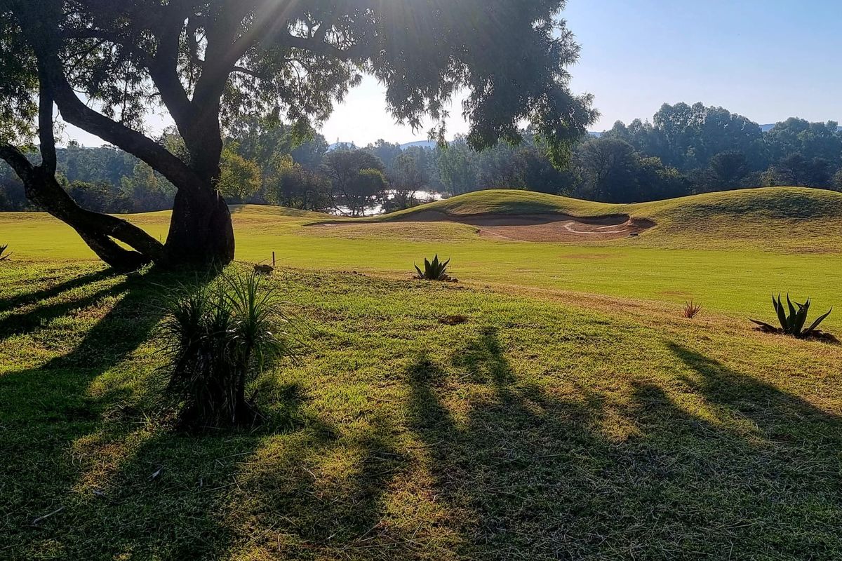 Vacant stand for sale! - Photo 4