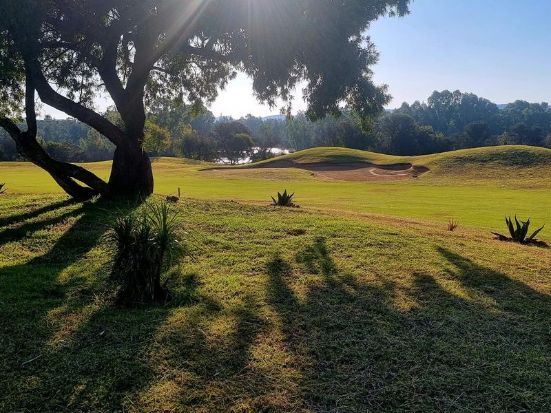 Vacant stand for sale! - Photo 4