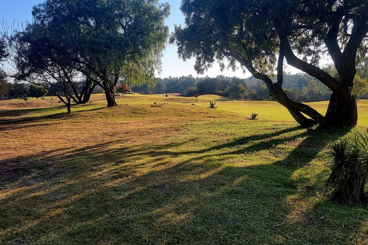 Vacant stand for sale! - Photo 3