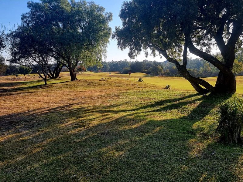 Vacant stand for sale! - Photo 3