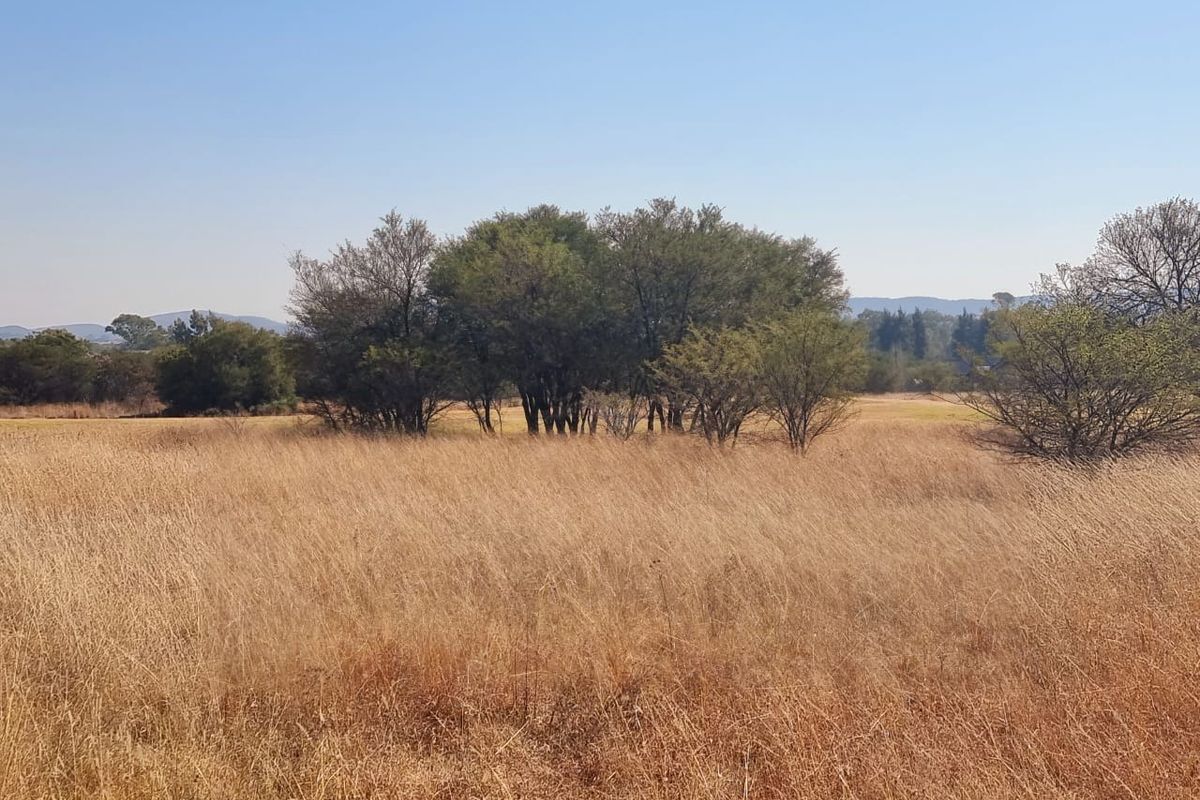 Vacant stand for sale - Photo 4