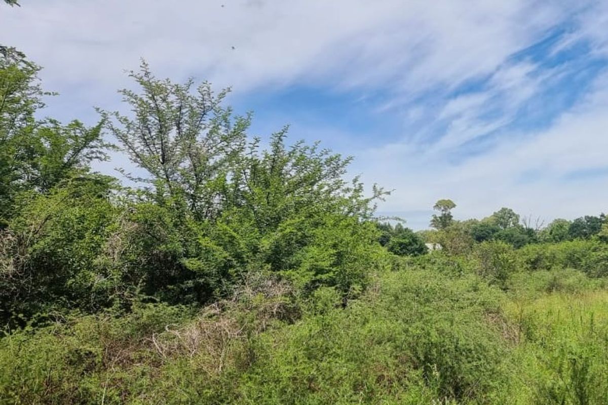 Vacant land for sale Parys Golf Estate - Photo 4