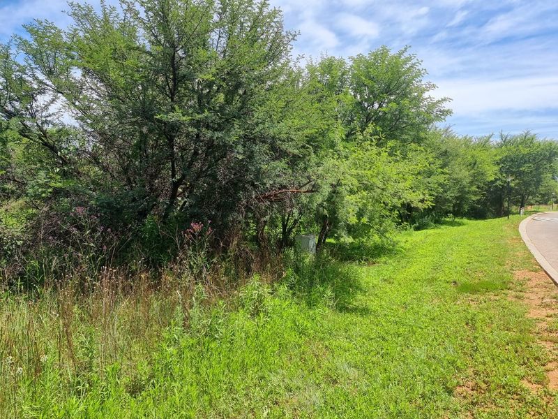 Vacant land for sale Parys Golf Estate - Photo 2