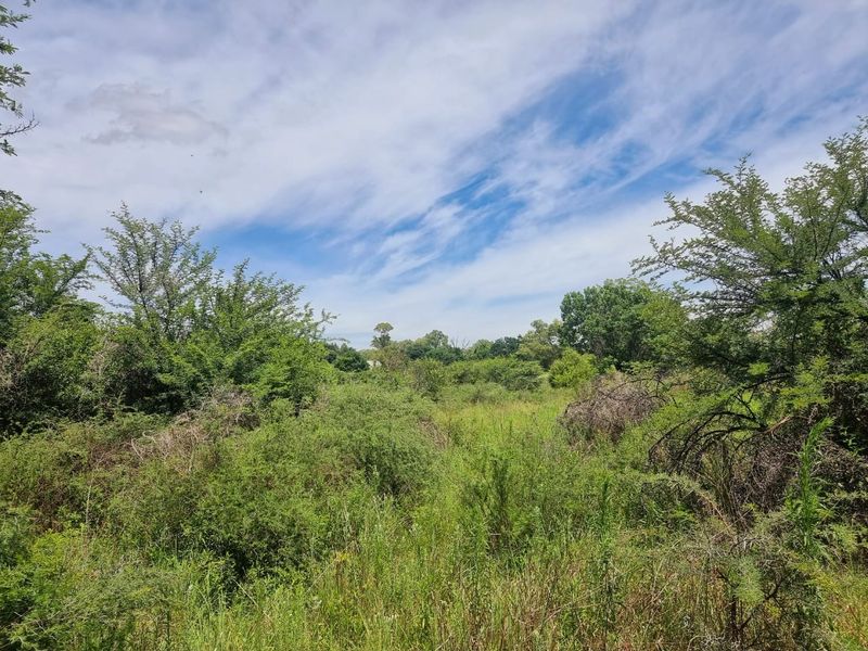 Vacant land for sale Parys Golf Estate - Photo 3