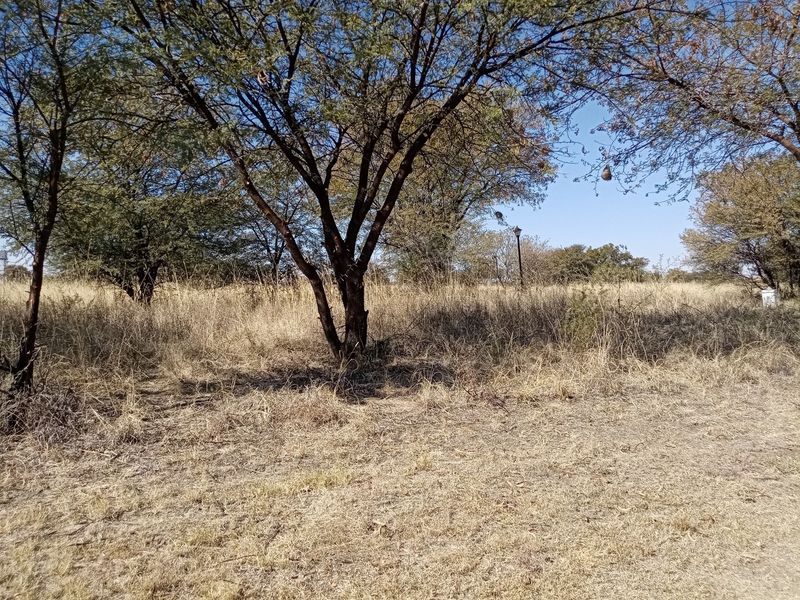 Corner stand For Sale! - Photo 2