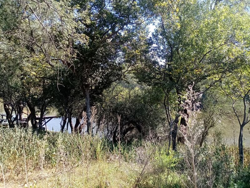 Prime Vacant Land with Full River View – Vaal de Grace Nature Estate, Parys! - Photo 10