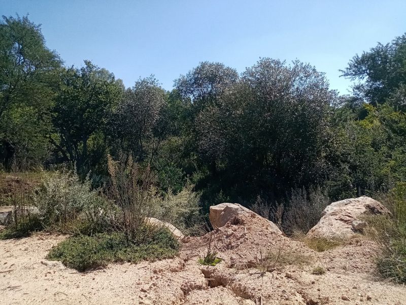 Prime Vacant Land with Full River View – Vaal de Grace Nature Estate, Parys! - Photo 9