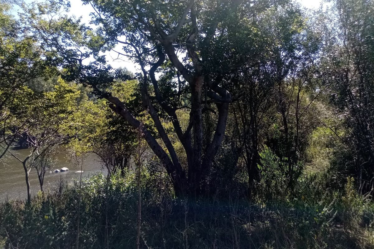 Prime Vacant Land with Full River View – Vaal de Grace Nature Estate, Parys! - Photo 5