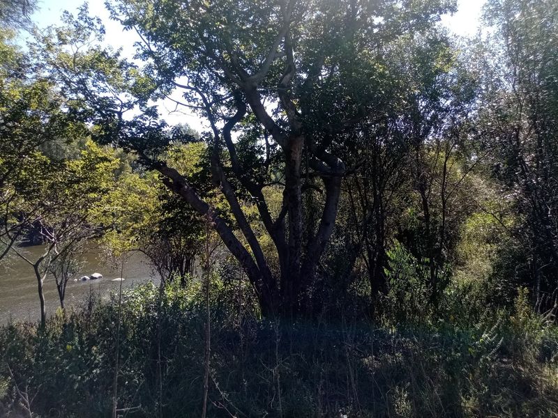 Prime Vacant Land with Full River View – Vaal de Grace Nature Estate, Parys! - Photo 5