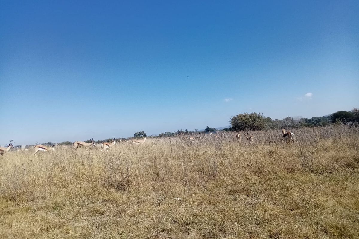 Vacant Land Residential For Sale In Parys - Photo 4