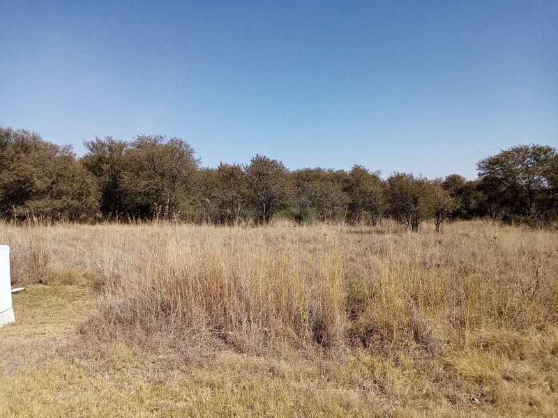 Vacant Land Residential For Sale In Parys - Photo 2