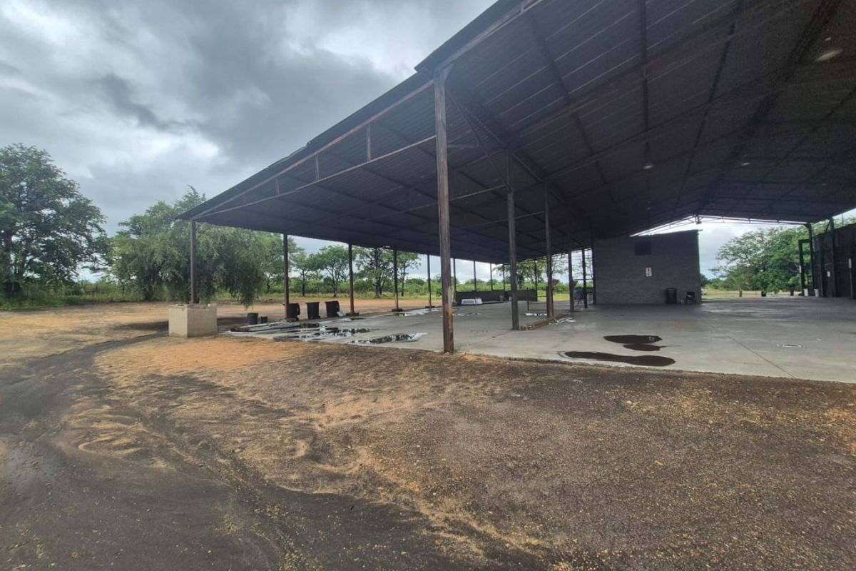 Large open-plan industrial shed featuring a steel frame structure, corrugated metal roofing, and a concrete slab floor, suitable for storage or workshop use.