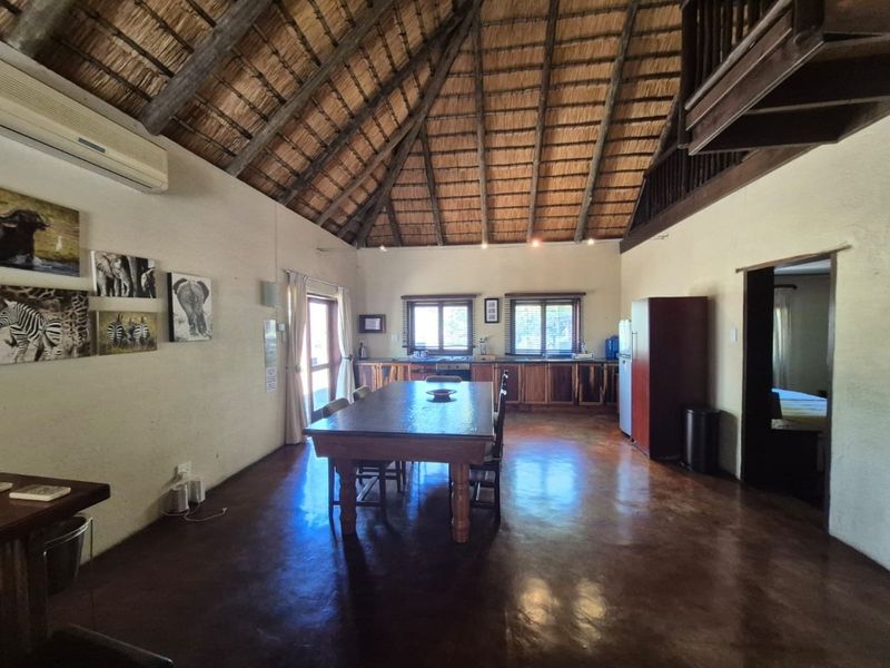Spacious open-plan living and kitchen area featuring a high thatched roof with exposed timber rafters and polished concrete floors.
