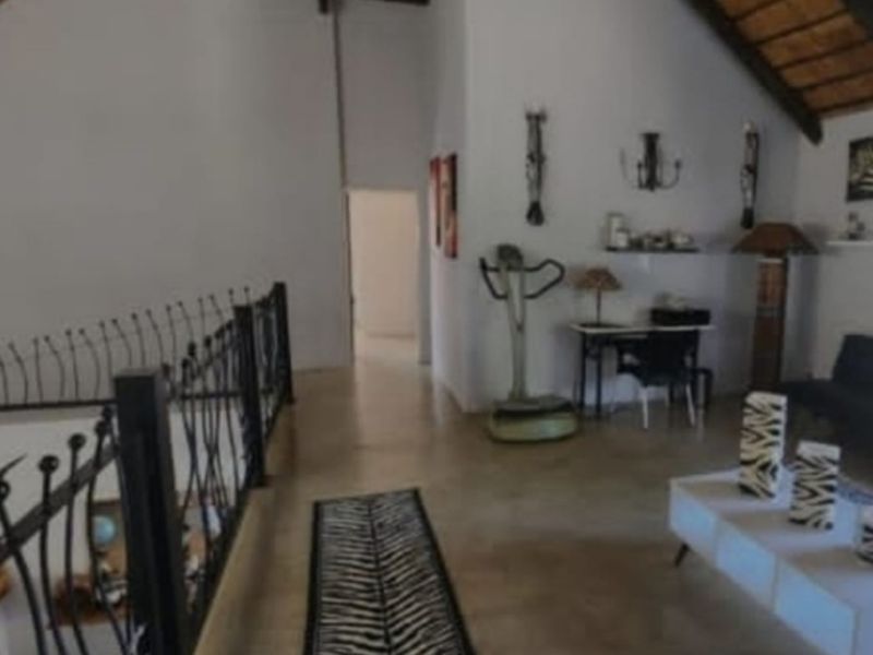 THE MAGNIFICENT LIFE - Photo 8