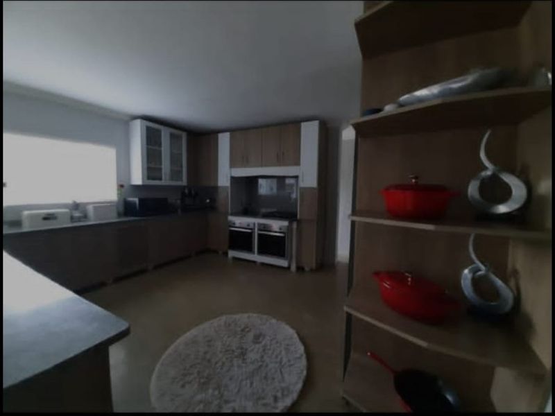 THE MAGNIFICENT LIFE - Photo 6