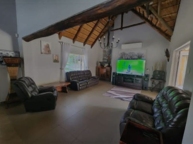 THE MAGNIFICENT LIFE - Photo 7