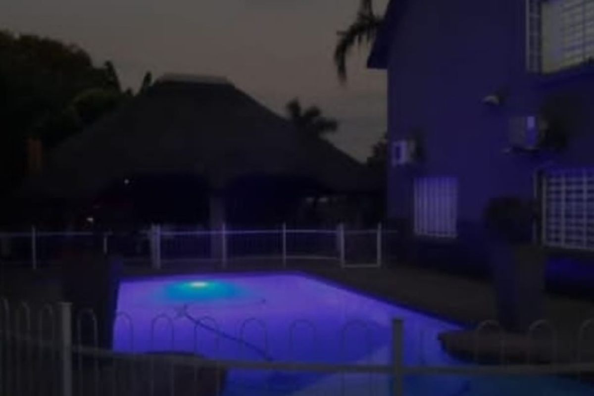 THE MAGNIFICENT LIFE - Photo 3