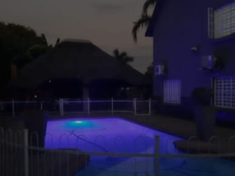 THE MAGNIFICENT LIFE - Photo 3