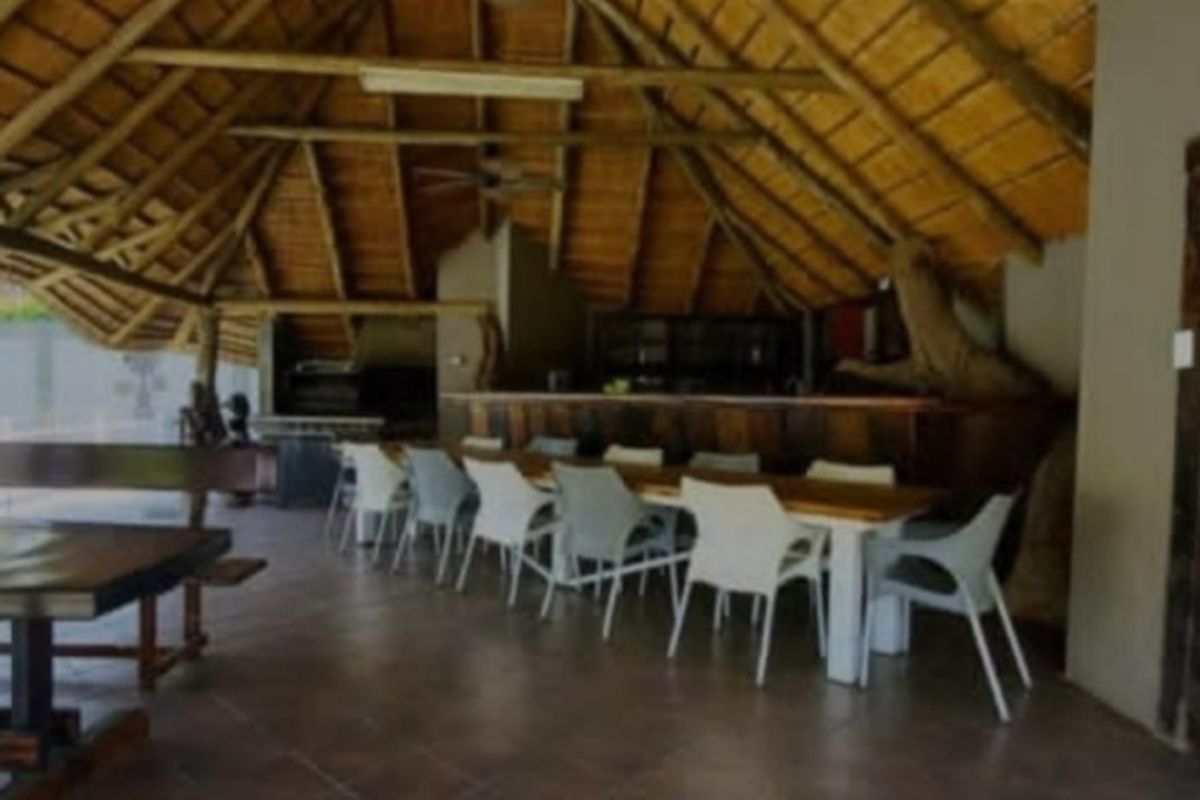 THE MAGNIFICENT LIFE - Photo 4