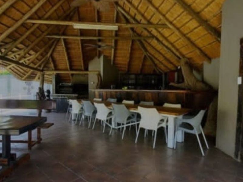 THE MAGNIFICENT LIFE - Photo 4