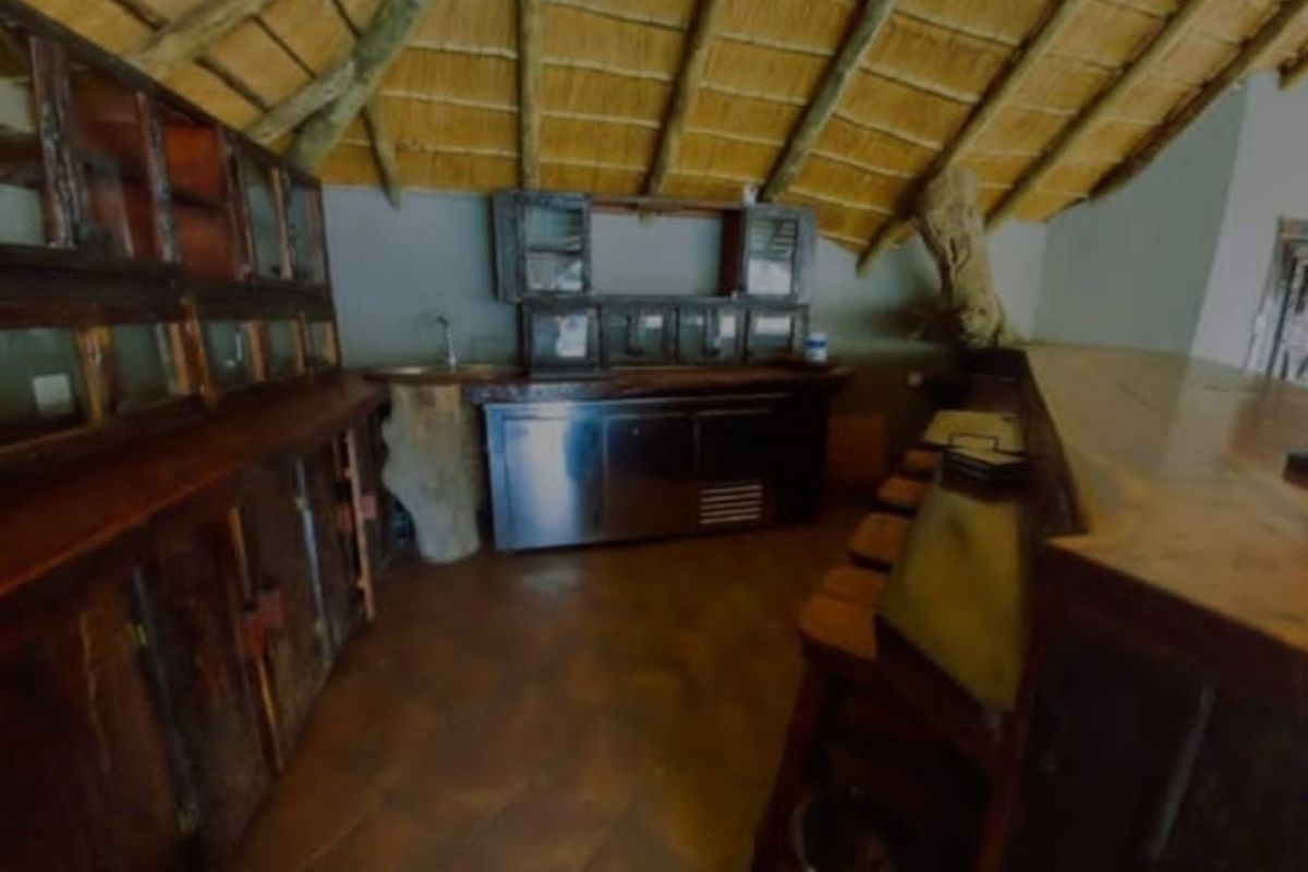 THE MAGNIFICENT LIFE - Photo 5