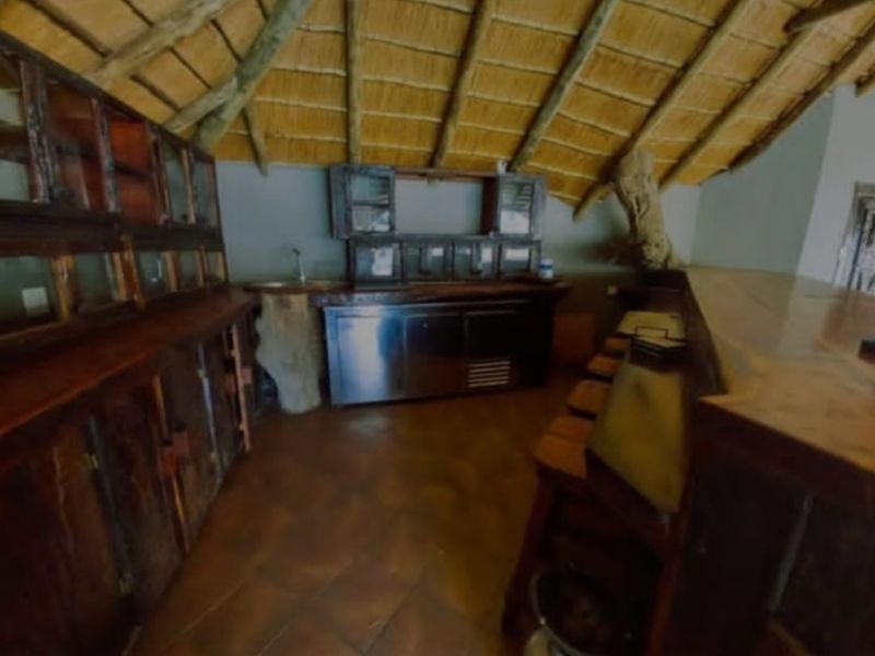 THE MAGNIFICENT LIFE - Photo 5