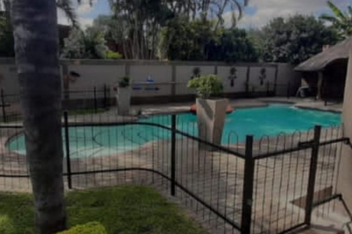 THE MAGNIFICENT LIFE - Photo 2