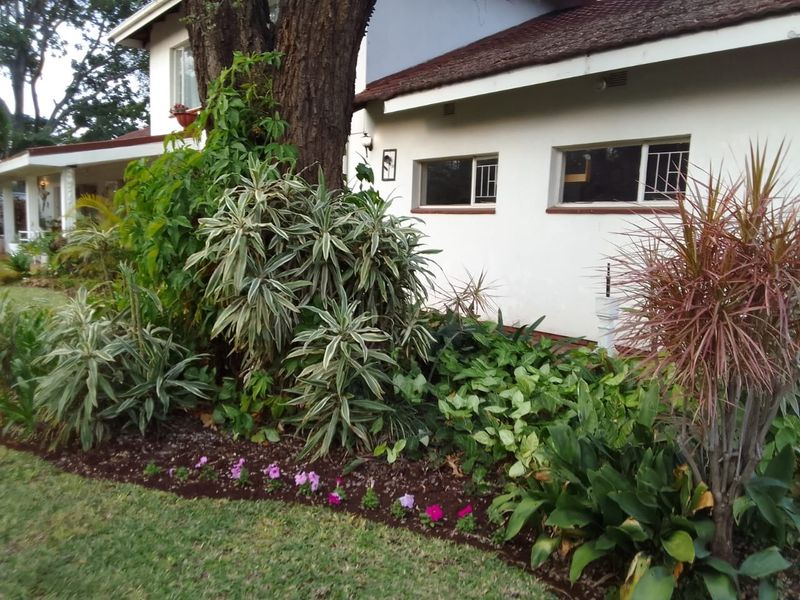 A view of the side exterior of the house featuring established garden beds, mature trees, and white rendered walls with sliding windows.