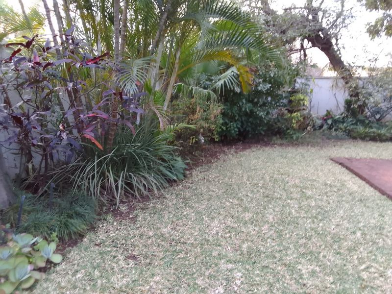 A private garden area featuring established tropical landscaping, mature palm trees, and a well-maintained lawn with a paved border.