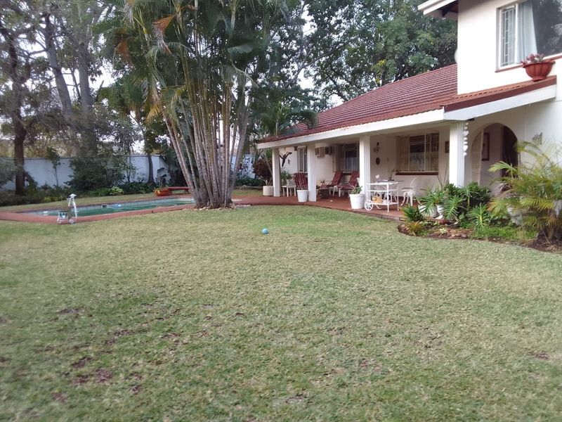 Spacious rear garden featuring a swimming pool, established palm trees, and a covered patio area attached to the main house structure.