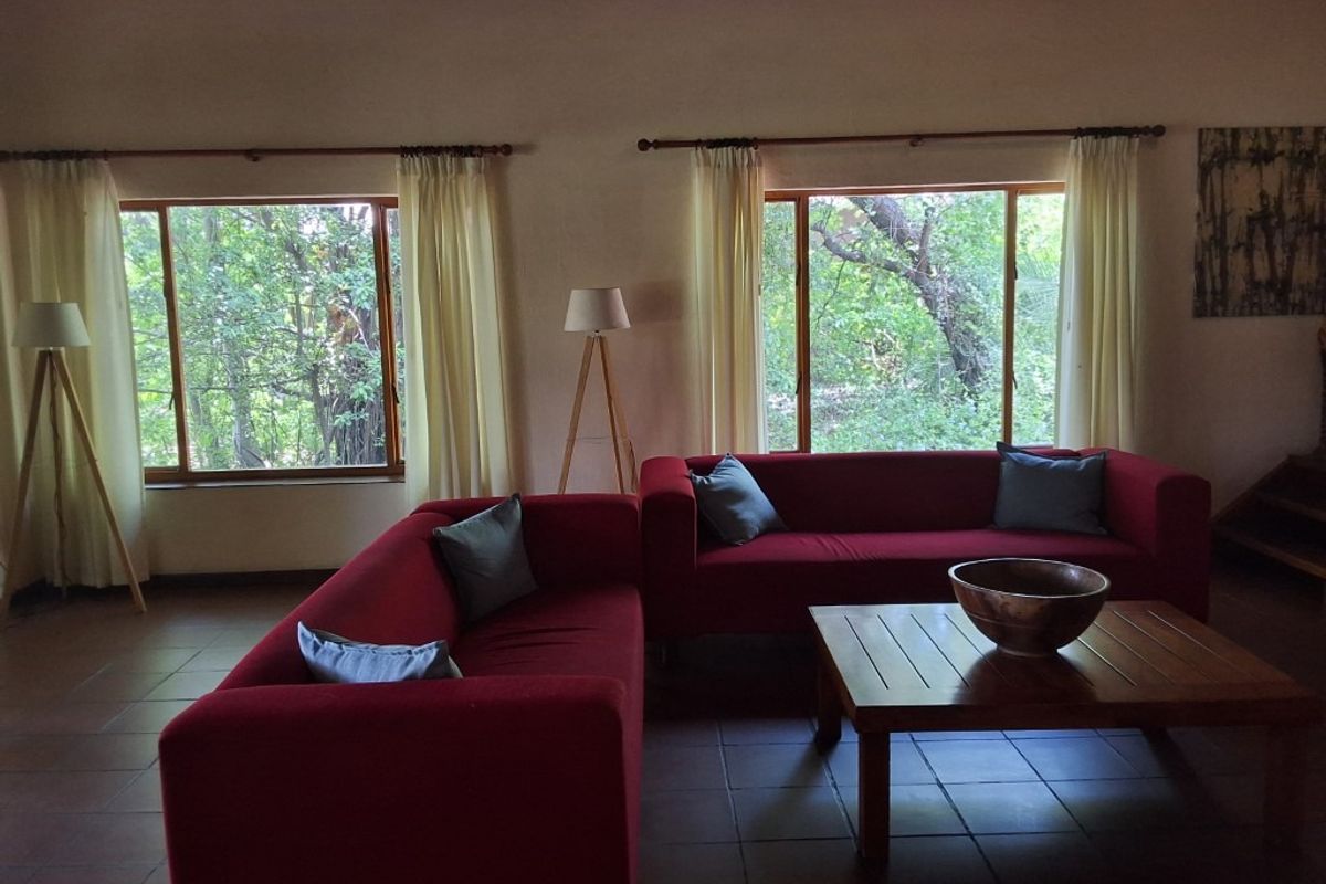 A cut above the rest - Photo 5