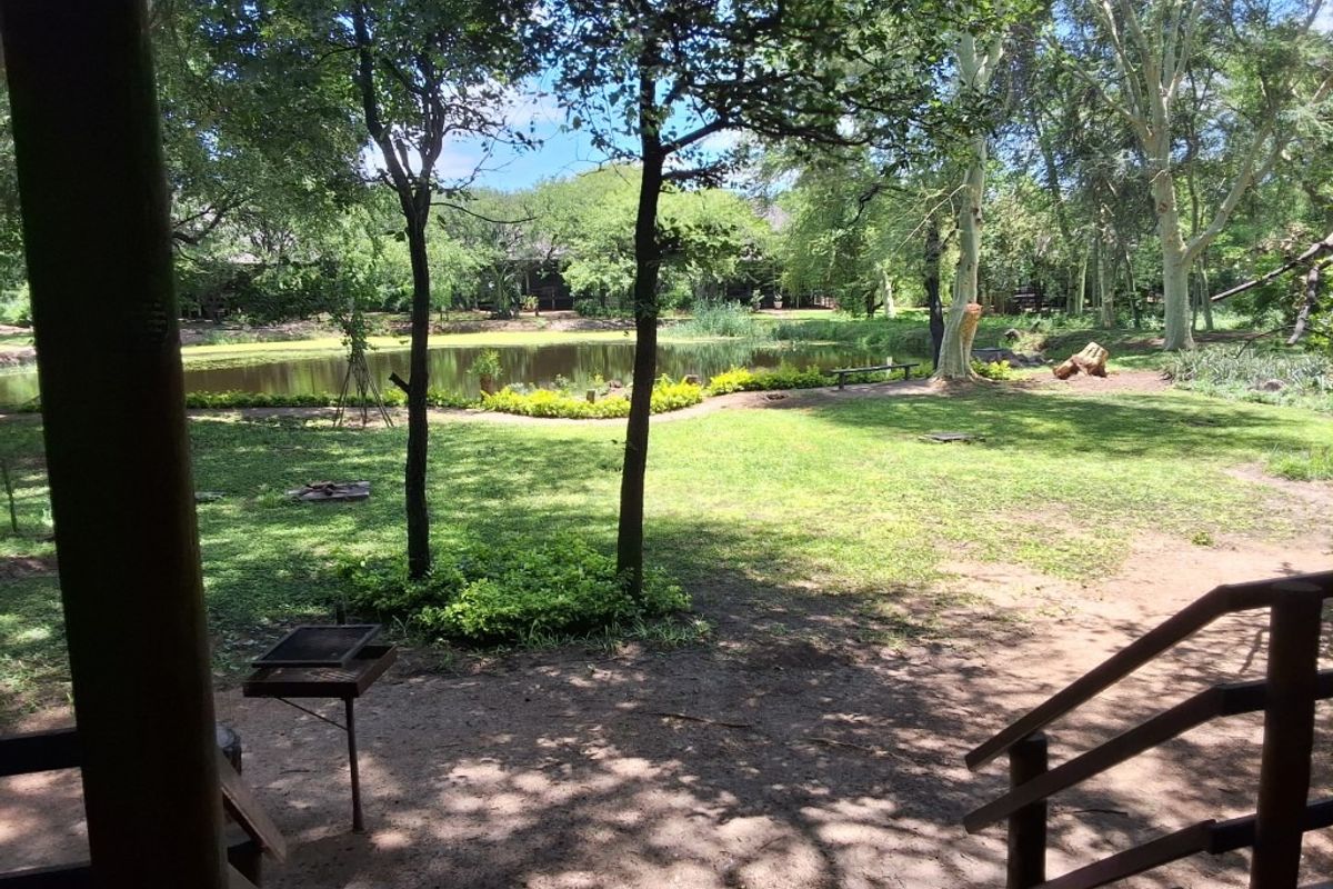 A cut above the rest - Photo 3