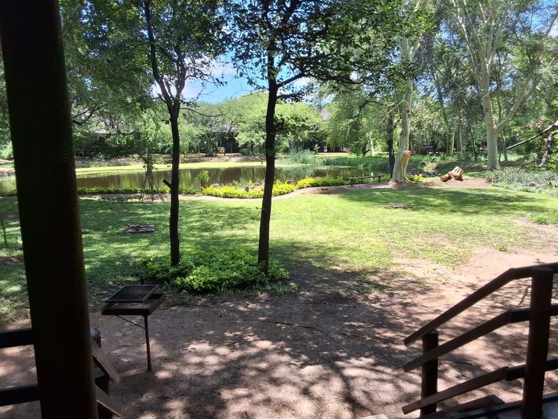 A cut above the rest - Photo 3