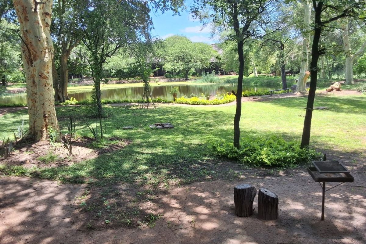 A cut above the rest - Photo 2