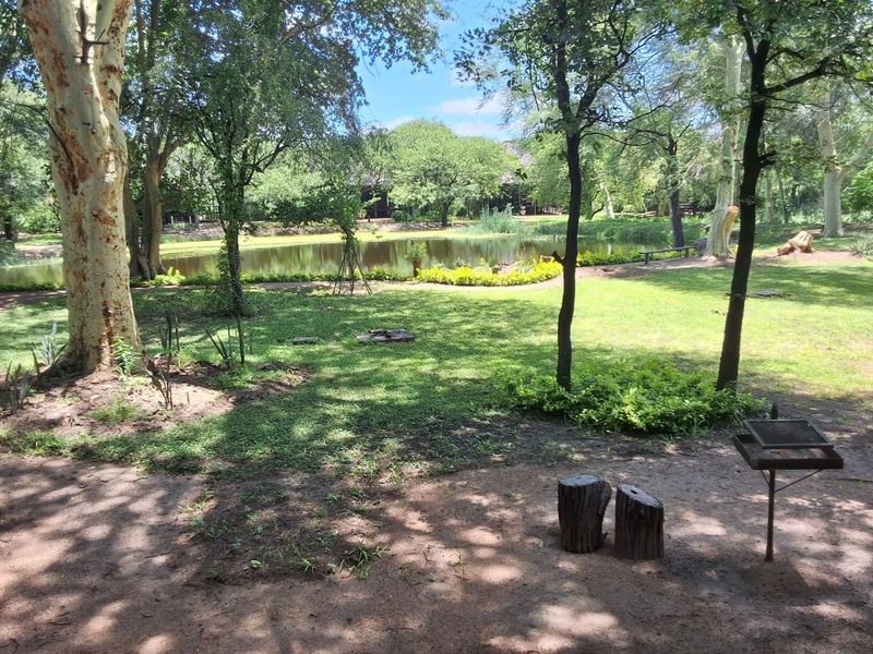 A cut above the rest - Photo 2