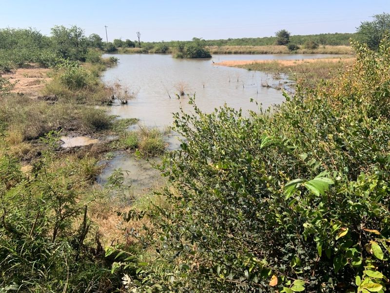 A natural landscape view featuring a small dam or pond surrounded by indigenous vegetation and bushveld.