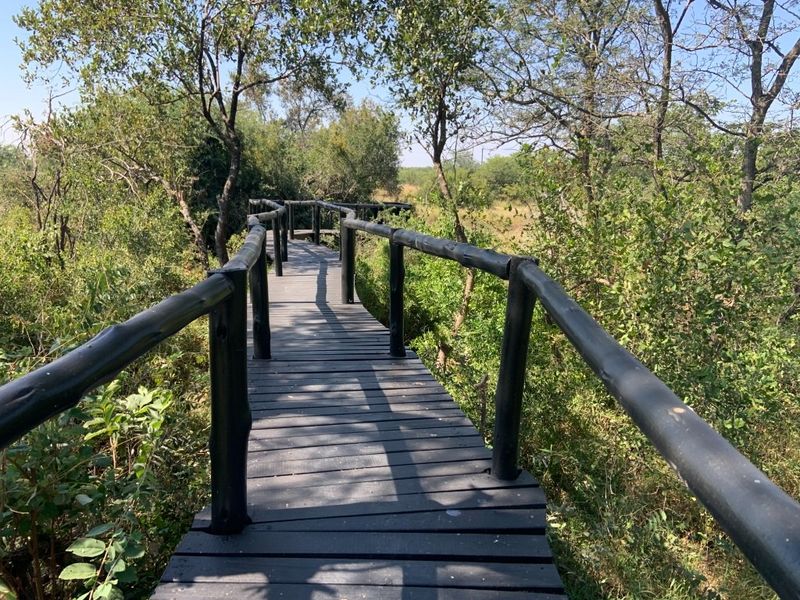 A scenic wooden boardwalk path winding through a natural garden setting with established trees and vegetation.