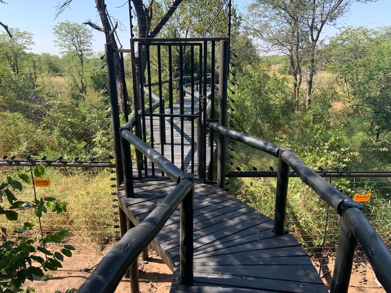 A raised wooden walkway featuring a secure gate and electric fencing, providing elevated access through a natural bushveld environment.