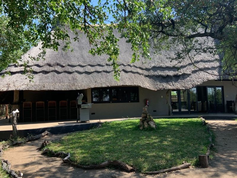 Rear exterior view of a property featuring a traditional thatched roof, a covered patio area with a built-in bar, and a landscaped garden.