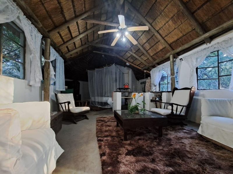 Rustic living area featuring a high vaulted thatched ceiling with exposed timber rafters, concrete flooring, and large steel-framed windows.