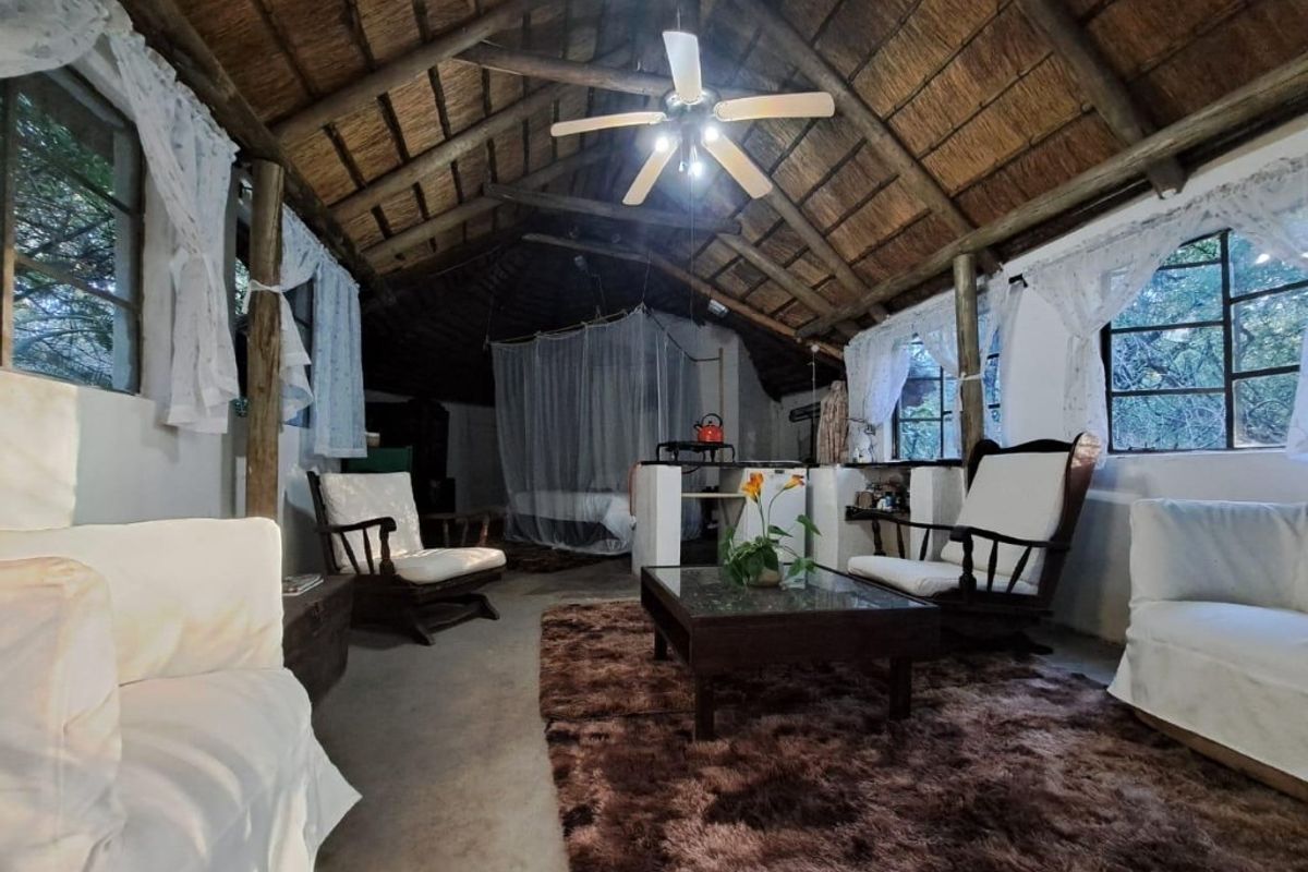 Rustic living area featuring a high vaulted thatched ceiling with exposed timber rafters, concrete flooring, and large steel-framed windows.